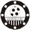 Escudo SALBURUA